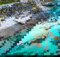 Rottnest Island Round-Trip Ferry from Perth or Fremantle - Attractions