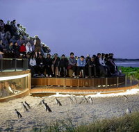 2-Day Great Ocean Road Mornington Peninsula and Phillip Island Tour - Attractions