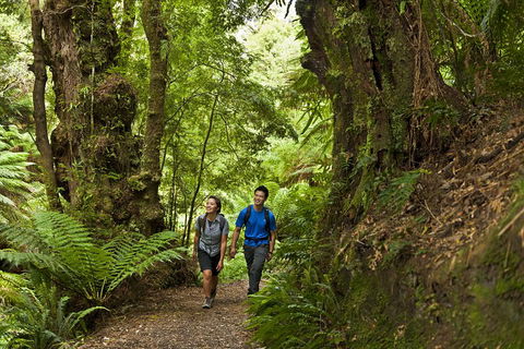 2-Day Great Ocean Road, Mornington Peninsula And Phillip Island Tour - Attractions 5