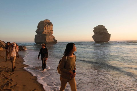 Full-Day Great Ocean Road And 12 Apostles Sunset Tour From Melbourne - Attractions 4