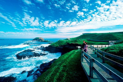 Phillip Island Penguin Parade Express Tour From Melbourne - Attractions 4