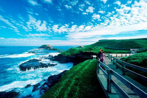 Puffing Billy, Moonlit Sanctuary & Penguins Day Tour - Attractions 2