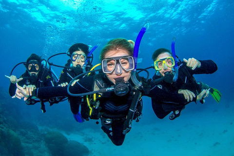 Great Barrier Reef Diving And Snorkeling Cruise From Cairns - Attractions 0