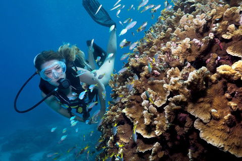 Great Barrier Reef Diving And Snorkeling Cruise From Cairns - Attractions 1