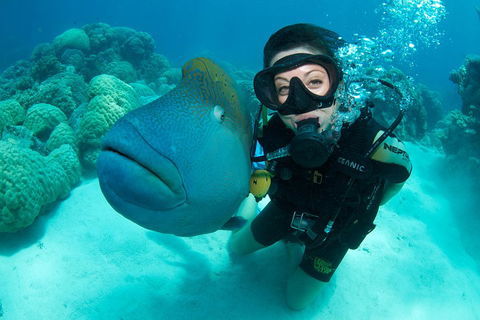 Great Barrier Reef Diving And Snorkeling Cruise From Cairns - Attractions 2