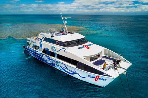 Great Barrier Reef Diving And Snorkeling Cruise From Cairns - Attractions 5