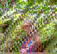 5 Day Australia Retreat Queensland Daintree - Attractions