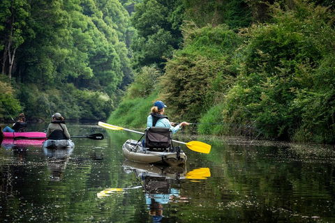 Byron Bay Rainforest Fishing - Attractions 0