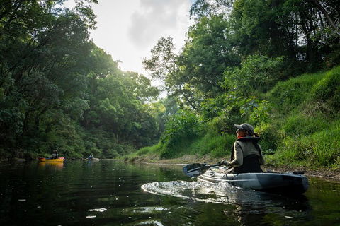 Byron Bay Rainforest Fishing - Attractions 1