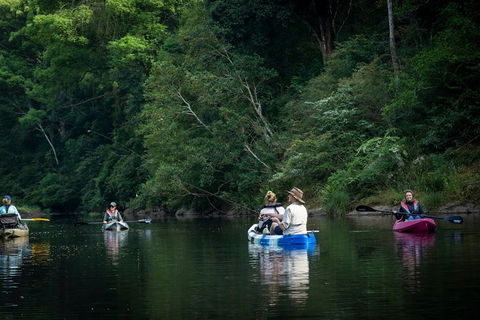 Byron Bay Rainforest Fishing - Attractions 2