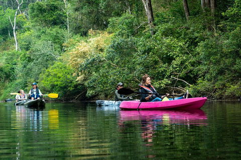 Byron Bay Rainforest Fishing - Attractions 4