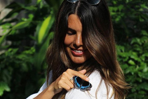 Australian Butterfly Sanctuary - Attractions 2