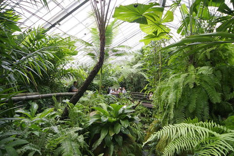 Australian Butterfly Sanctuary - Attractions 3