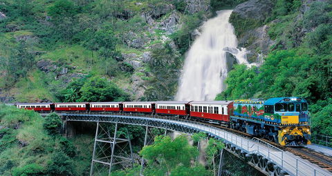 Classic Kuranda By Skyrail And Scenic Railway Including Rainforestation, Koala And Wildlife Park And Pamagirri Aboriginal Experi - Attractions 1