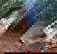 Kuranda Highlights including Rainforestation Aboriginal Culture and Wildlife - Attractions