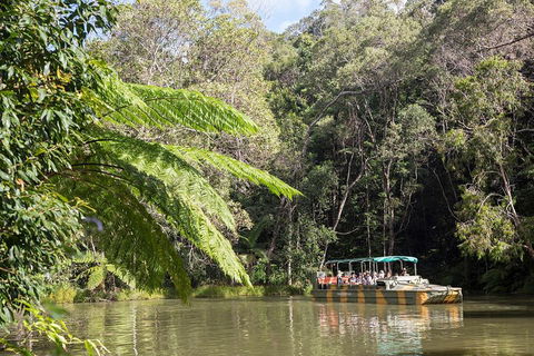 Best Of Kuranda Including Skyrail, Kuranda Scenic Railway And Rainforestation - Attractions 5
