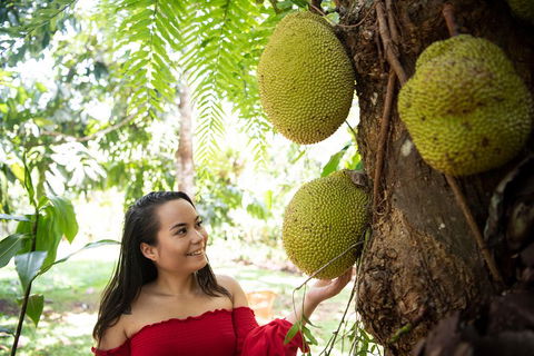 Kuranda Village, Army Duck Tour With Train And Skyrail (KDB) - Attractions 2