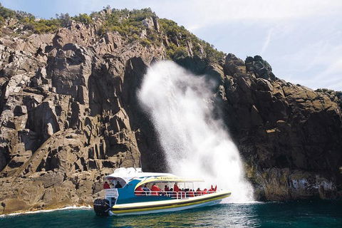 Full-Day Bruny Island Cruises Day Tour From Hobart - Attractions 4