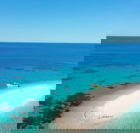 Ocean Safari Great Barrier Reef Experience in Cape Tribulation - Attractions