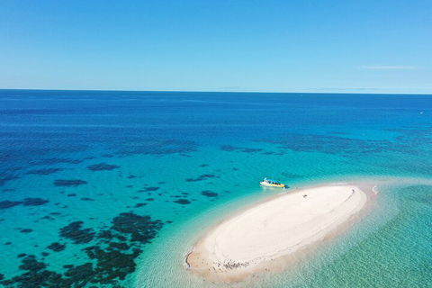 Ocean Safari Great Barrier Reef Experience In Cape Tribulation - Attractions 0