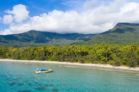 Ocean Safari Great Barrier Reef Experience In Cape Tribulation - Attractions 2