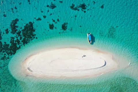 Ocean Safari Great Barrier Reef Experience In Cape Tribulation - Attractions 3