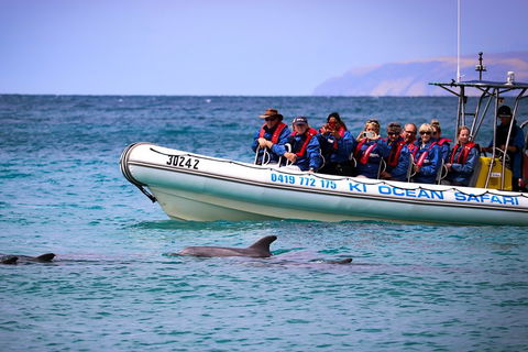Kangaroo Island 75-Minute Ocean Safari - Attractions 4