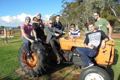 1/2 Day Swan Valley Wine Cheese & Chocolate Tour Inc Afternoon Cruise To Perth - Attractions 1