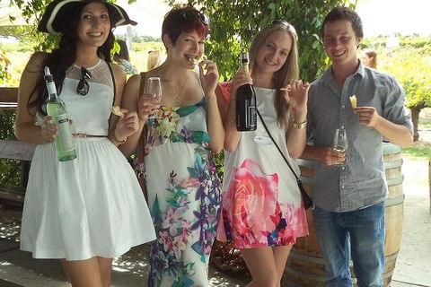 1/2 Day Swan Valley Wine Cheese & Chocolate Tour Inc Afternoon Cruise To Perth - Attractions 4