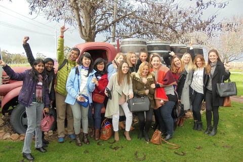 1/2 Day Swan Valley Wine Cheese & Chocolate Tour Inc Afternoon Cruise To Perth - Attractions 5