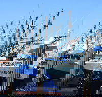 One Day Port Lincoln Tour - Tasting Eyre - Attractions