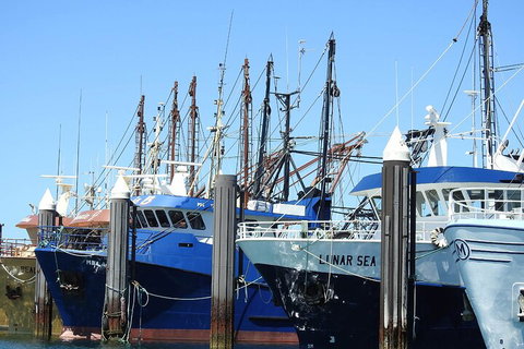 One Day Port Lincoln Tour - Tasting Eyre - Attractions 0