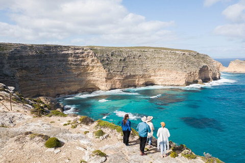 One Day Port Lincoln Tour - Tasting Eyre - Attractions 1