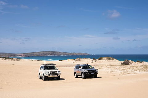 3 Day Port Lincoln And Coffin Bay Private Tour - Attractions 0