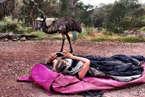 6 Day Esperance & Margaret River Adventure Tour - Attractions 5