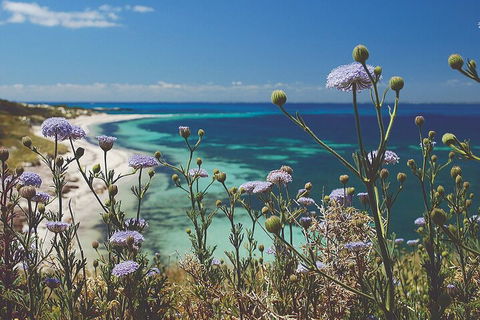 Rottnest Island Full-Day Trip With Guided Island Tour From Perth - Attractions 2