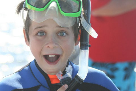 Dolphin Cruise From Adelaide With Optional Dolphin Swim - Attractions 3