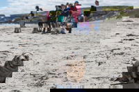 Book Viator Accommodation Vacations Attractions Attractions
