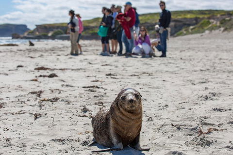 Kangaroo Island In A Day Tour From Adelaide - Attractions Las Vegas 0