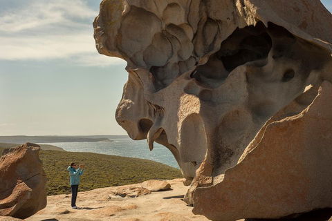 Kangaroo Island In A Day Tour From Adelaide - Attractions Las Vegas 5