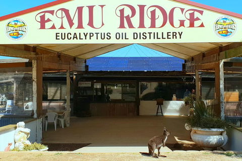 2 Day Ultimate Kangaroo Island With Return Ferry - Attractions 3