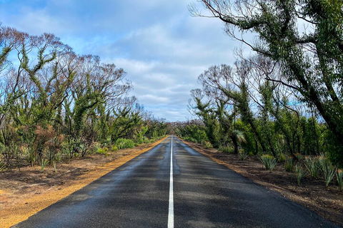 2 Day Ultimate Kangaroo Island With Return Ferry - Attractions 4
