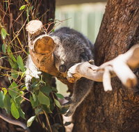 Melbourne City Tour and Phillip Island in One Day - Attractions