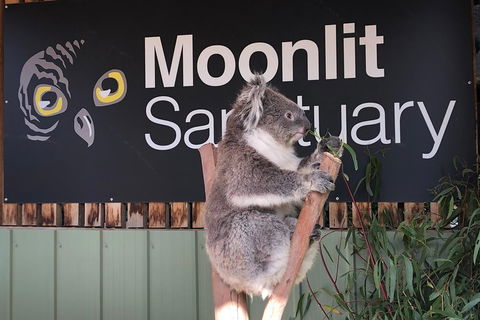 Private Tour: Phillip Island, Penguin Parade And Moonlit Sanctuary Conservation Park From Melbourne - Attractions 3