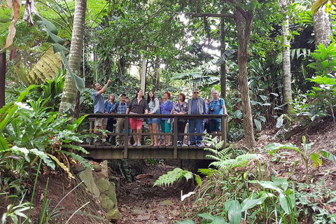 Cairns Shore Excursion: Cairns City Sights & Surrounds Tour - Attractions 1