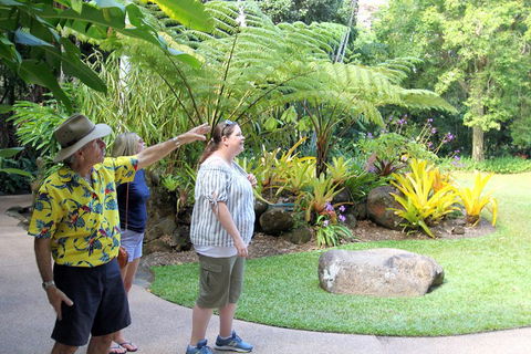Cairns Shore Excursion: Cairns City Sights & Surrounds Tour - Attractions 4