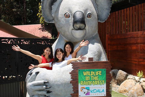 Kuranda Koala Gardens And Birdworld Admission Tickets - Attractions 3