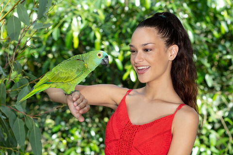 Kuranda Wildlife Experience Three Attraction Pass - Attractions 1