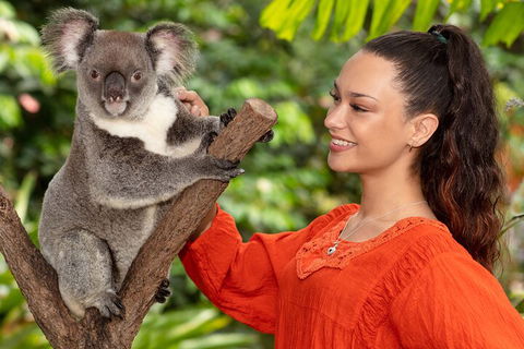 Kuranda Wildlife Experience Three Attraction Pass - Attractions 4