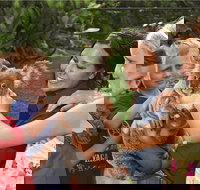 Kuranda Koala Gardens General Entry Ticket - Attractions